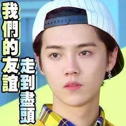 吃瓜娱乐圈真的假的
