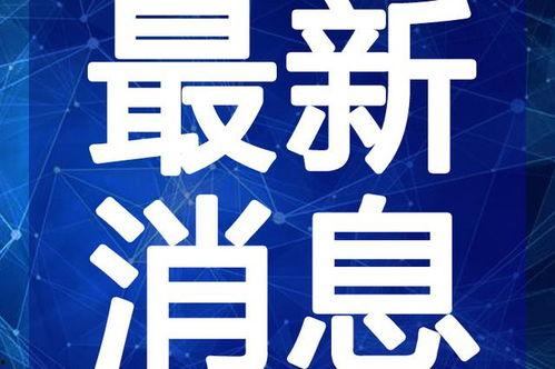 淄博蹴鞠爆料视频最新一期,揭秘赛场幕后精彩瞬间